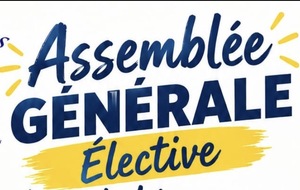Assemblée générale élective
