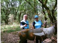 Parcours 3D - Montpouillan